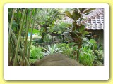 villa-jepun-09